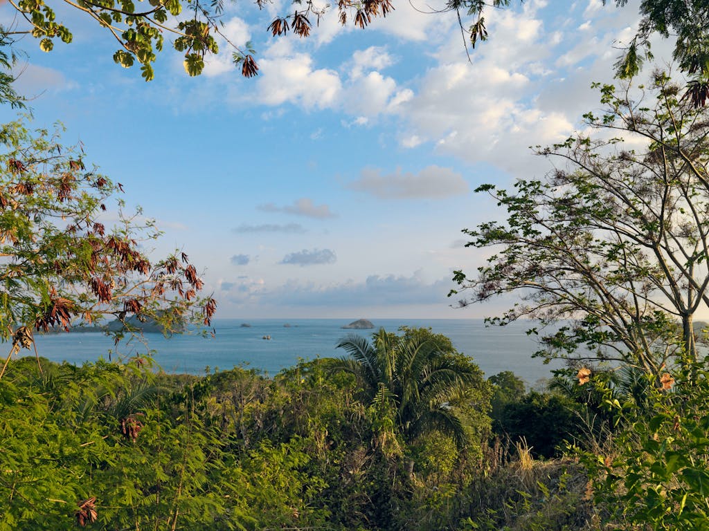 Udsigt til himmel, hav, skov og dyr 