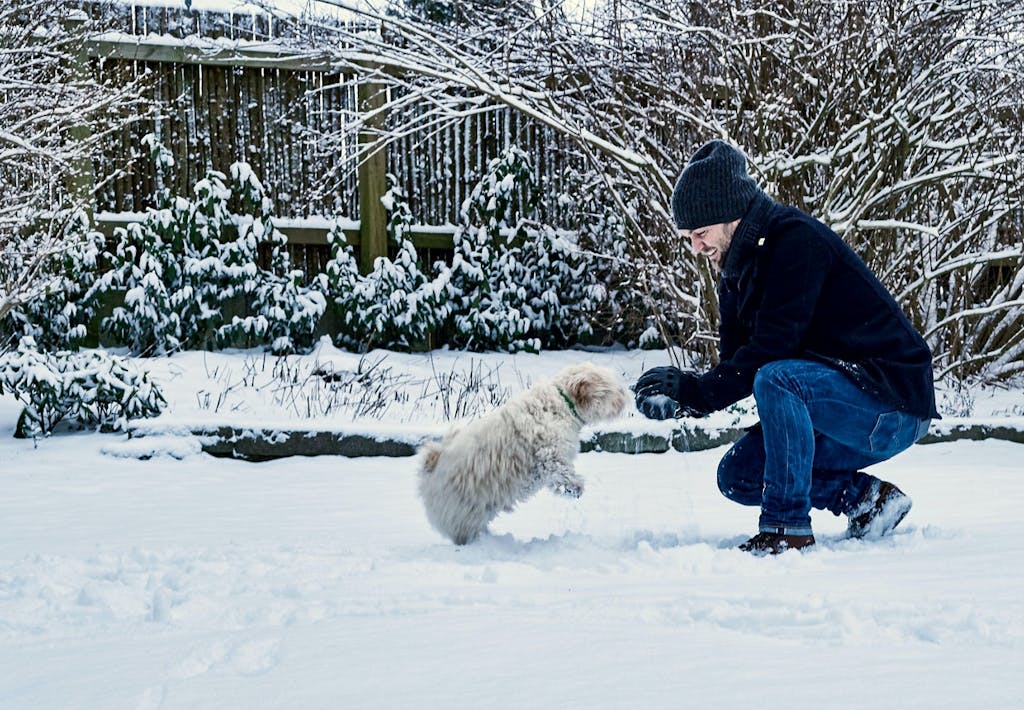 Fra lejlighed på Bryggen til villa i forstaden