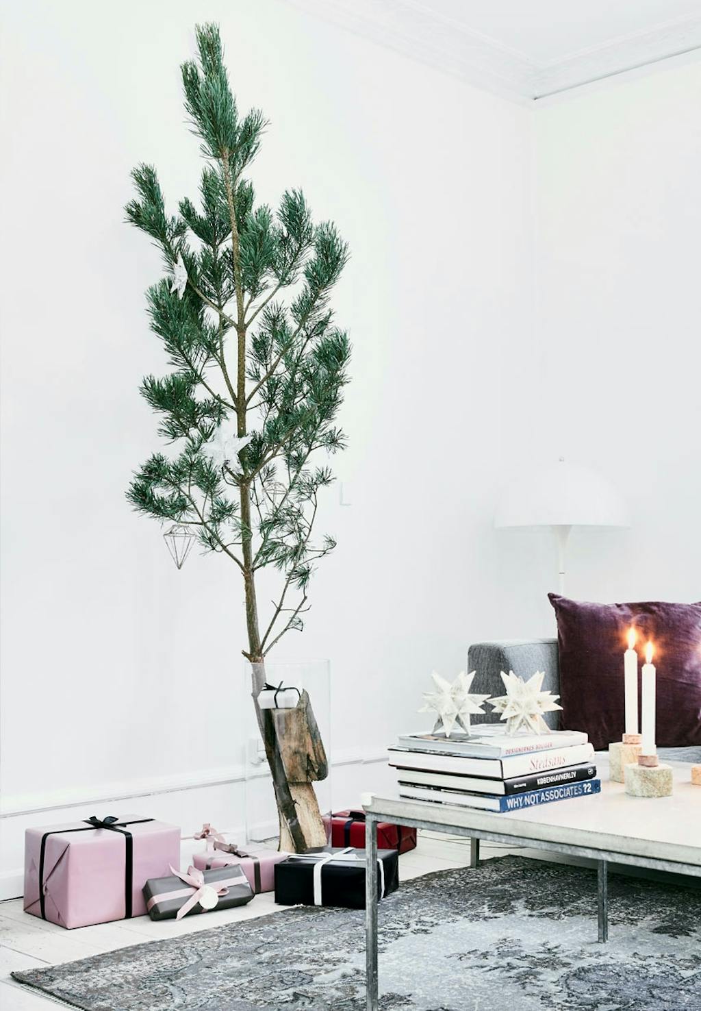 Dekorativ grangren som pre-juletræ