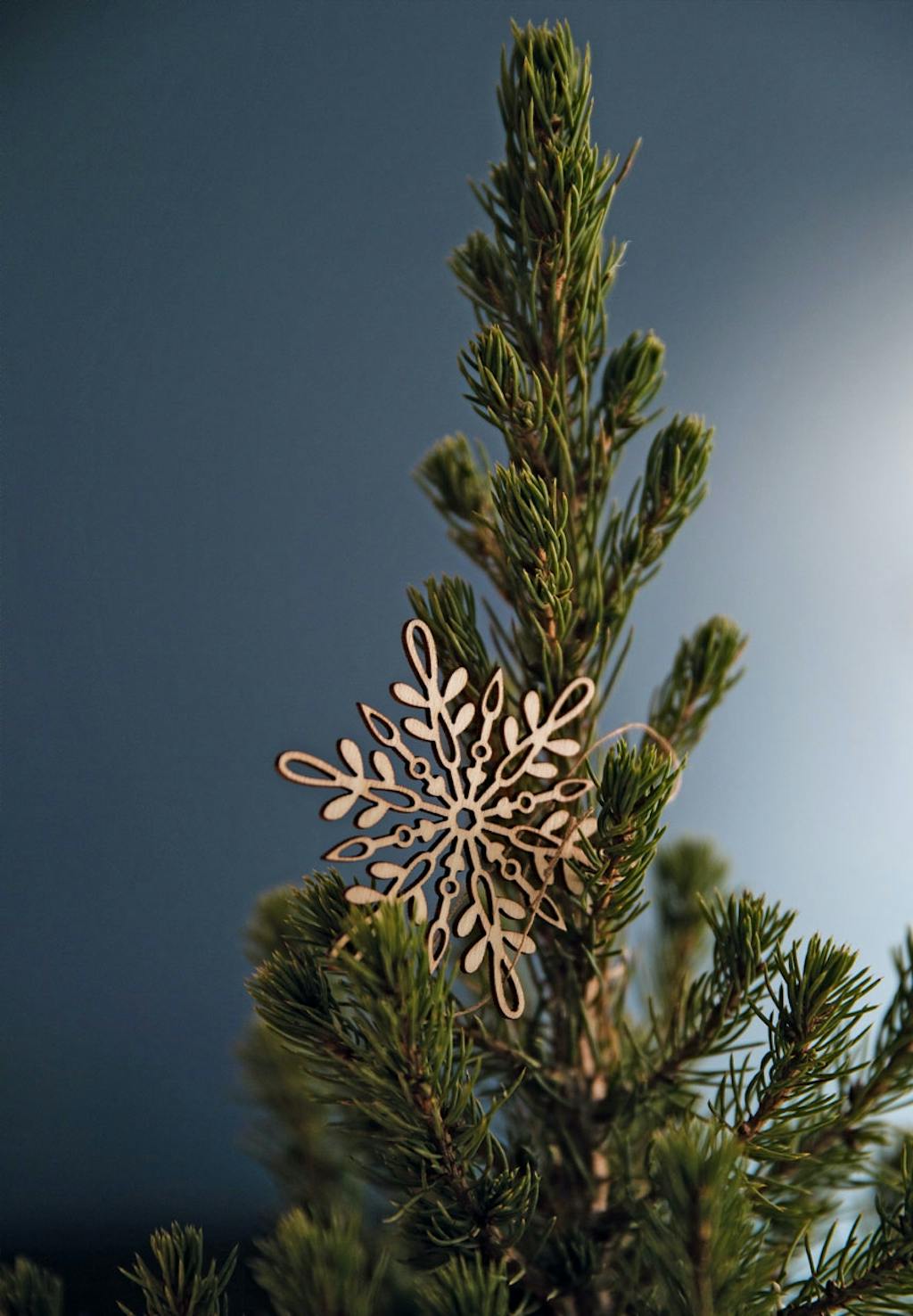 Enkel julepynt i Kasper Staalsøes hjem