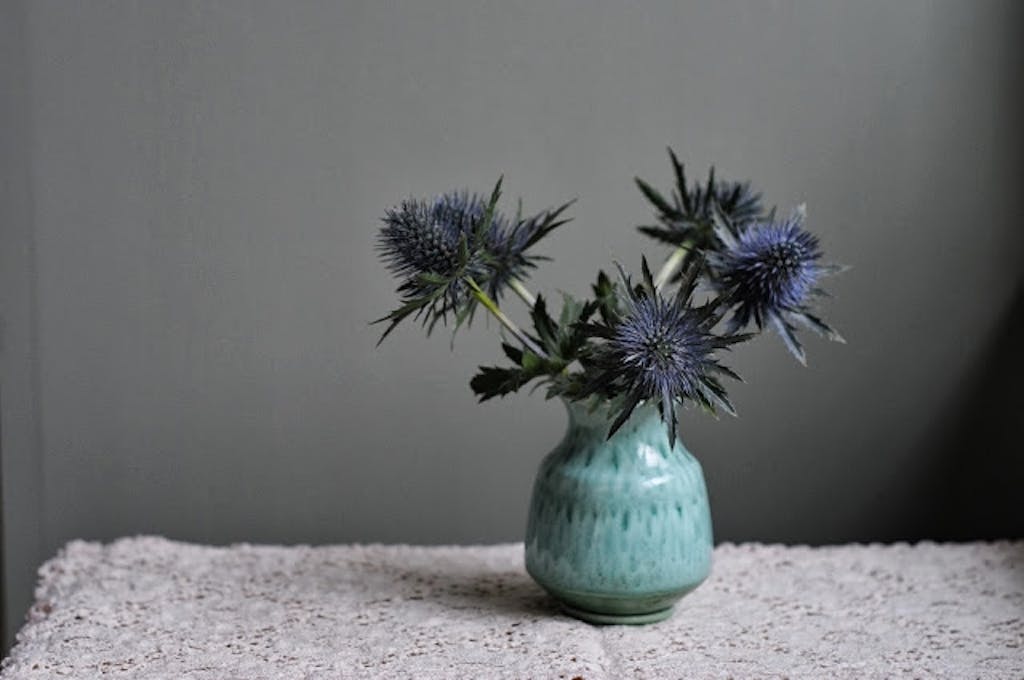 Derfor kaldes den mandstro