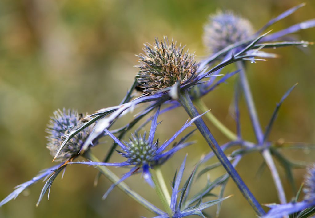 God nabo til andre stauder