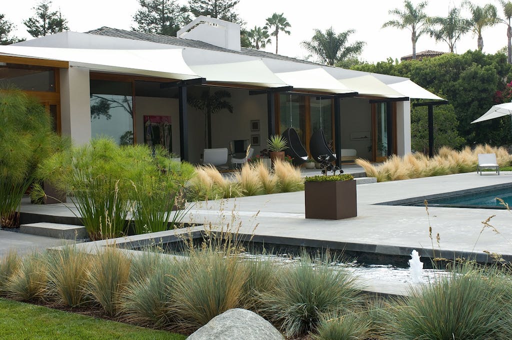 Græsser, sukkulenter og mos 