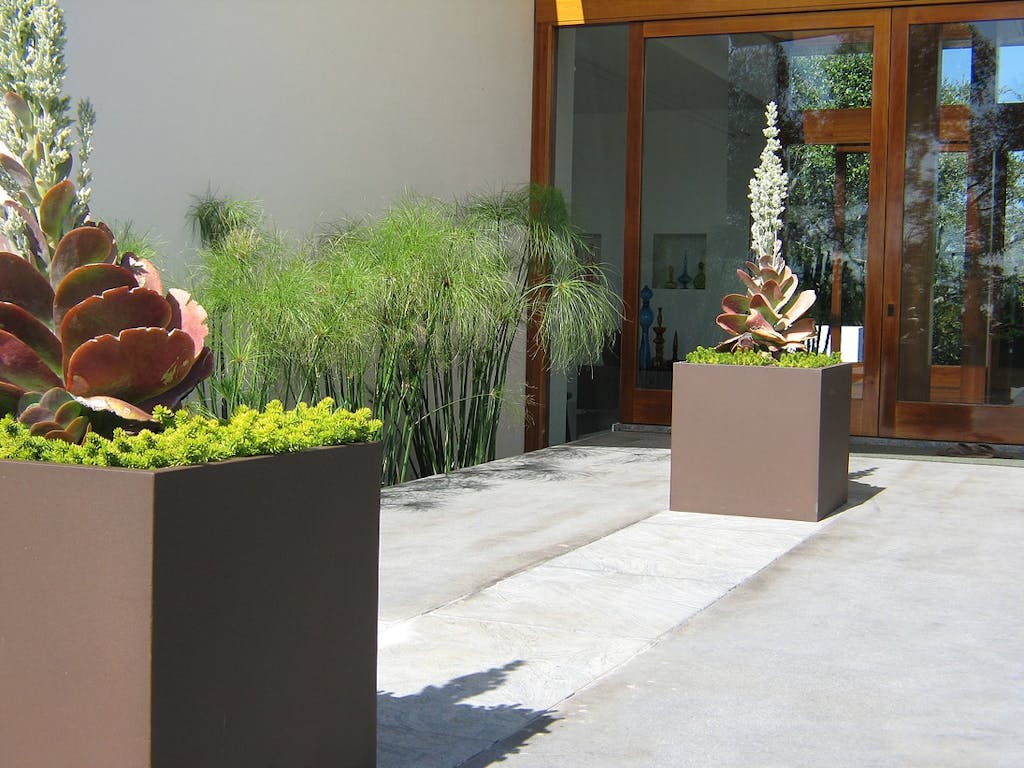 Minimalistisk arkitektur smelter sammen med haven