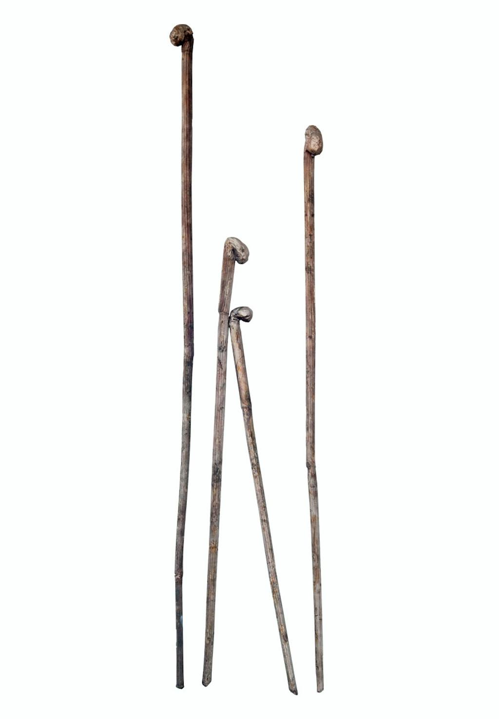 Soloudstillingen med kunstneren Emil Westman Hertz