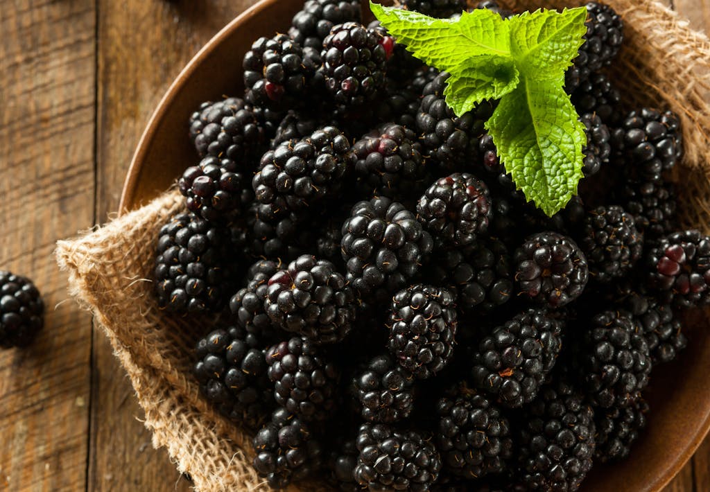 Brombær er en nøjsom og givende plante