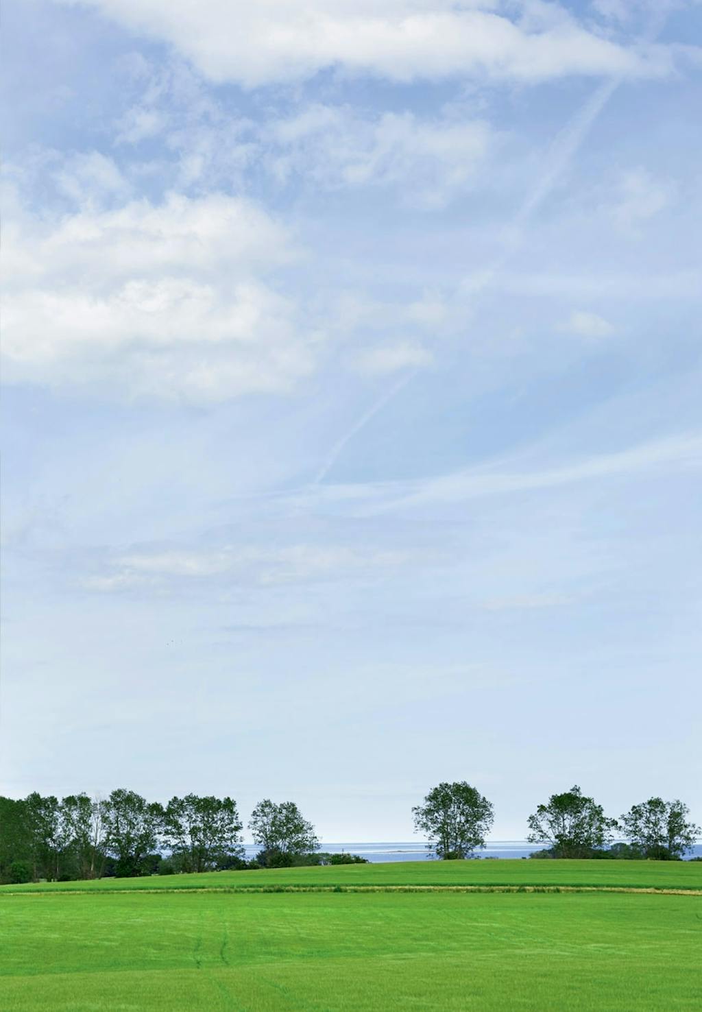 Ejendom med dejlig udsigt til vandet