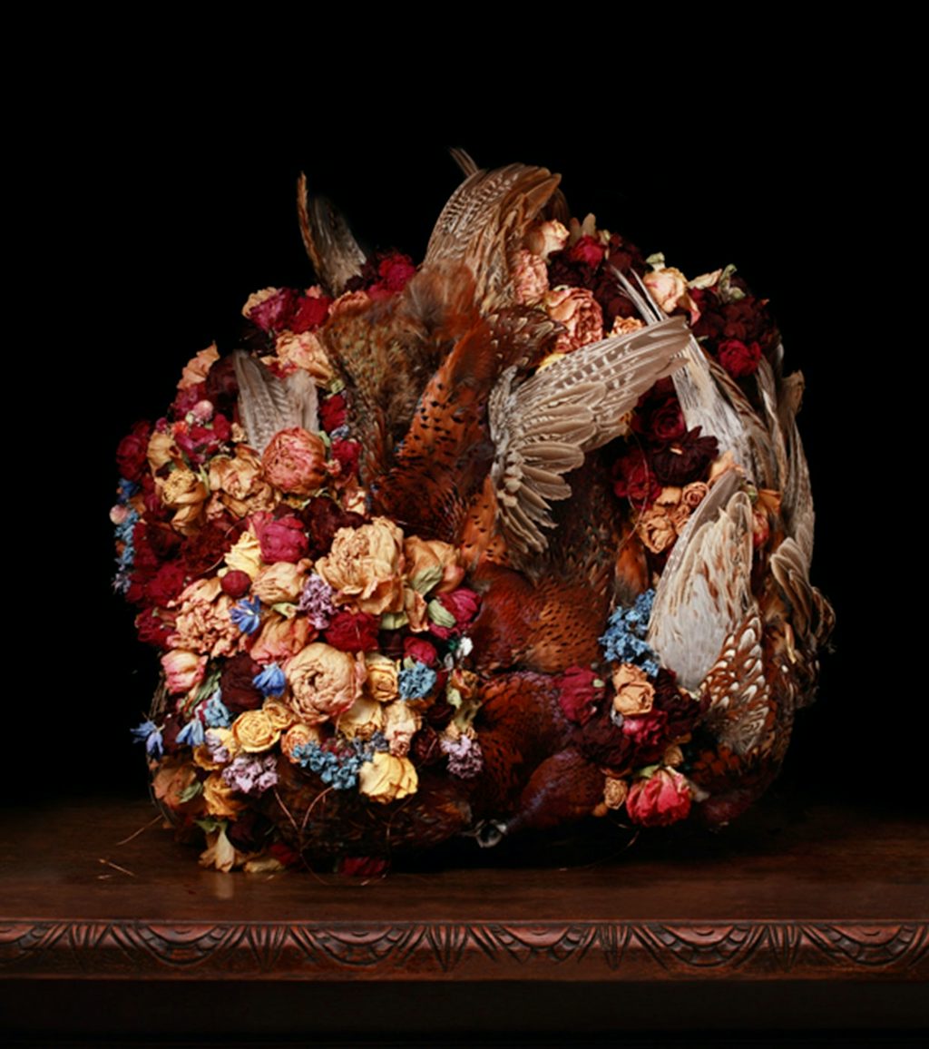 Nature Morte Nature Morte