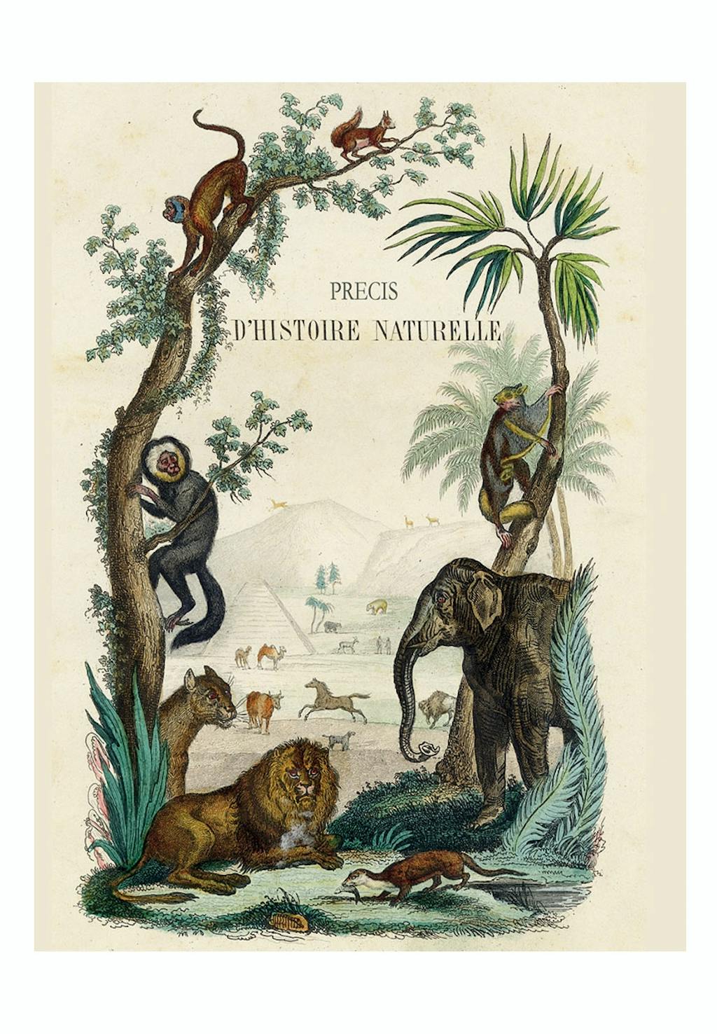 Notesbog med junglemotiv