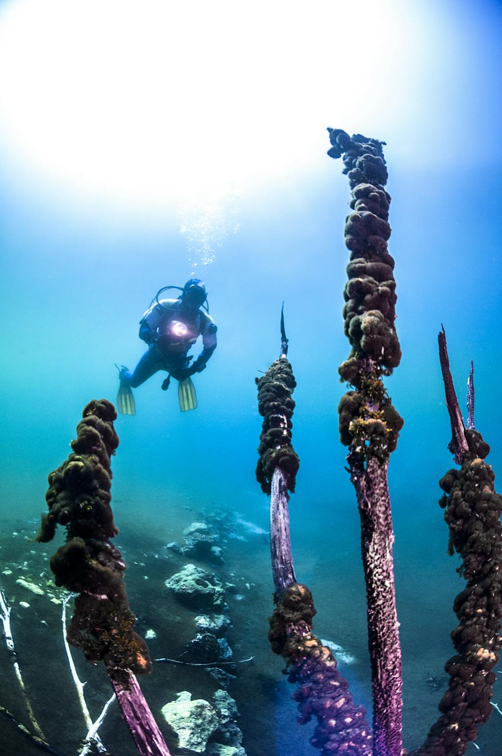 Gran Sasso e Monti della Laga National Park, Italien