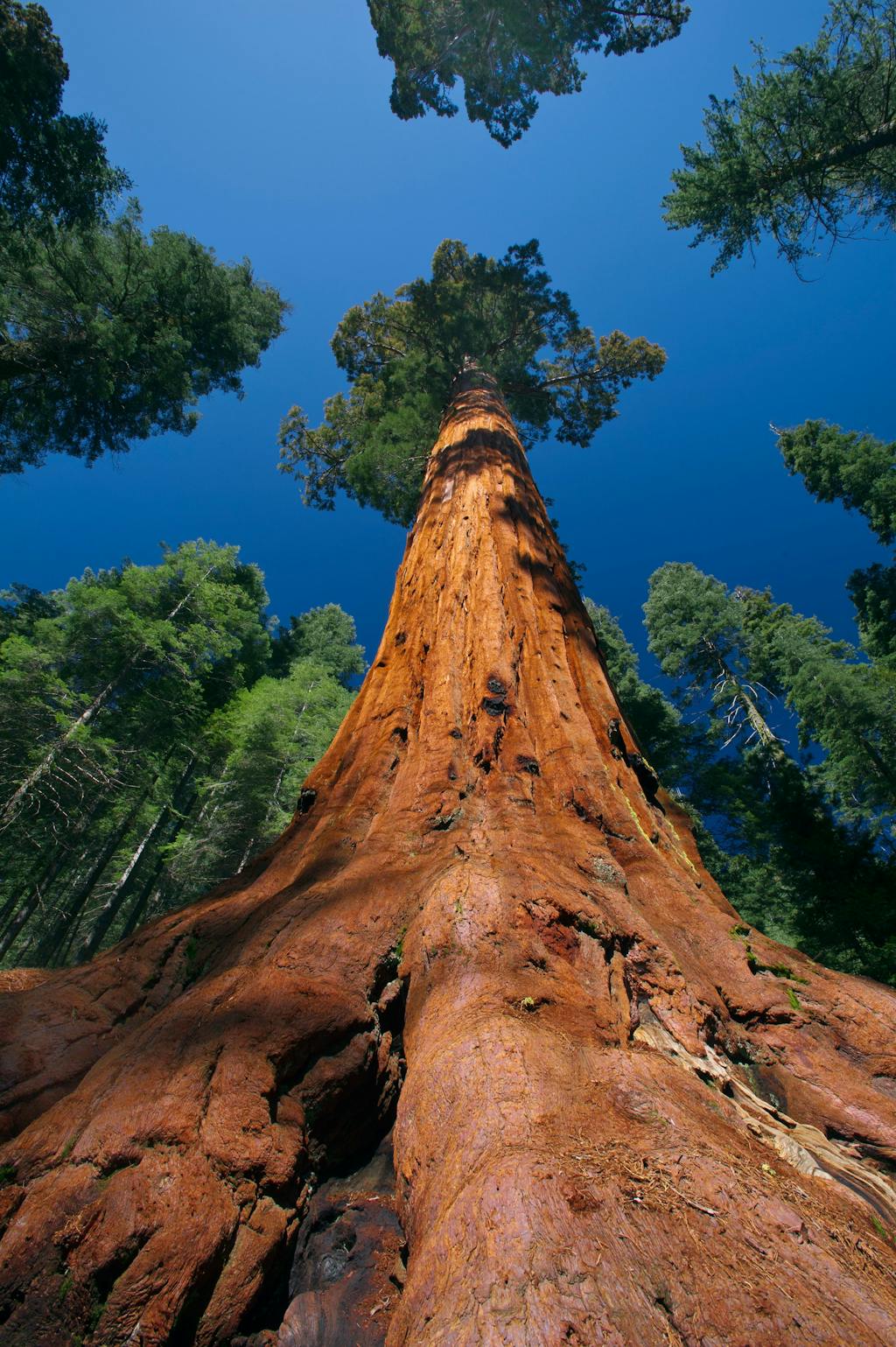 Yosemite National Park, Californien