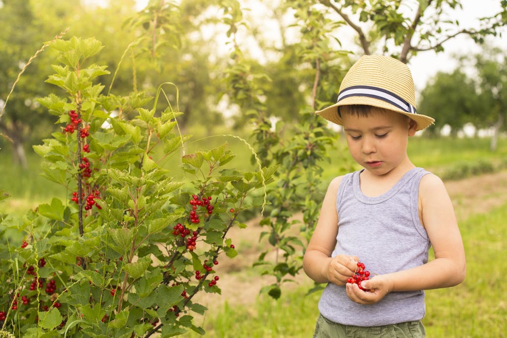 Danskerne har elsket ribs siden 1700-tallet