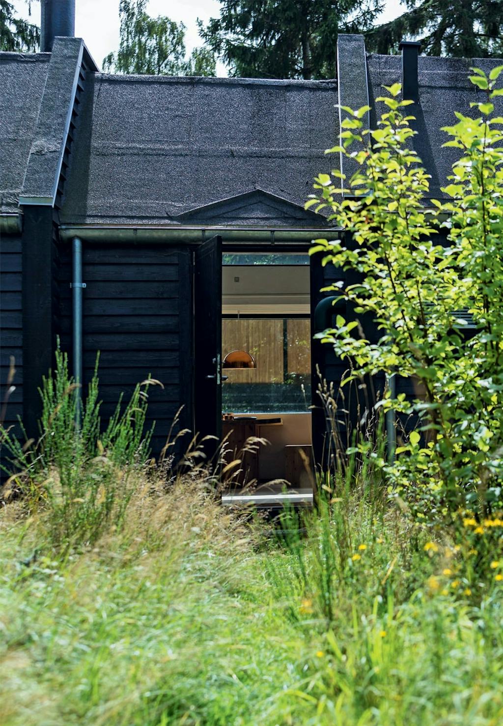 Vild og utæmmet natur