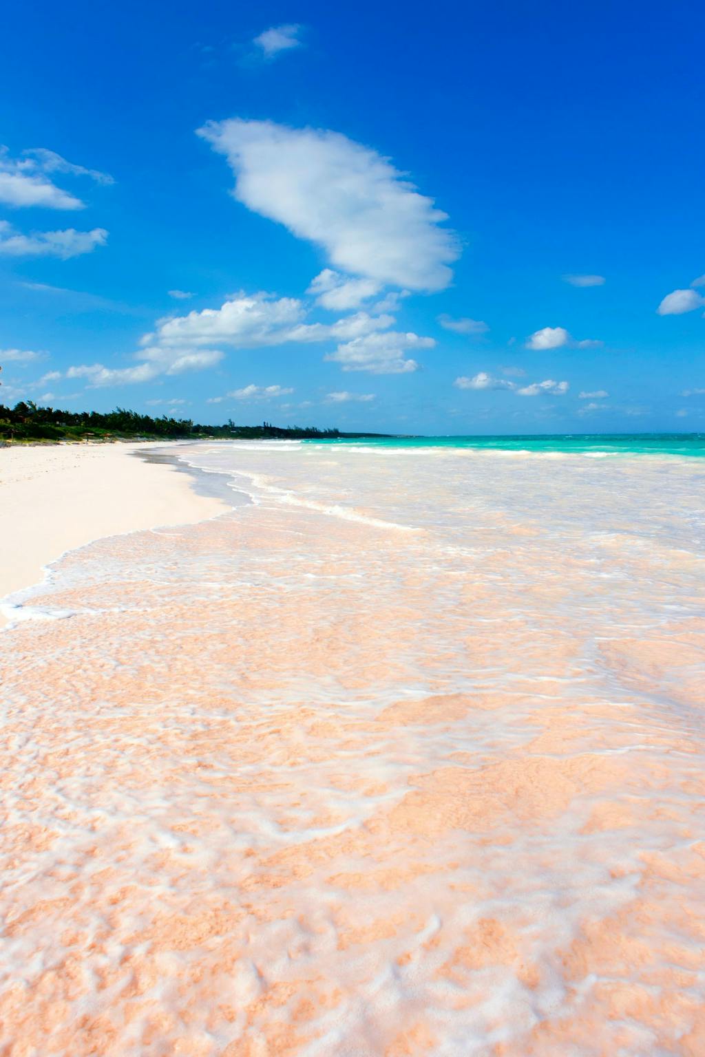 Pink Sand Beach, Bahamas