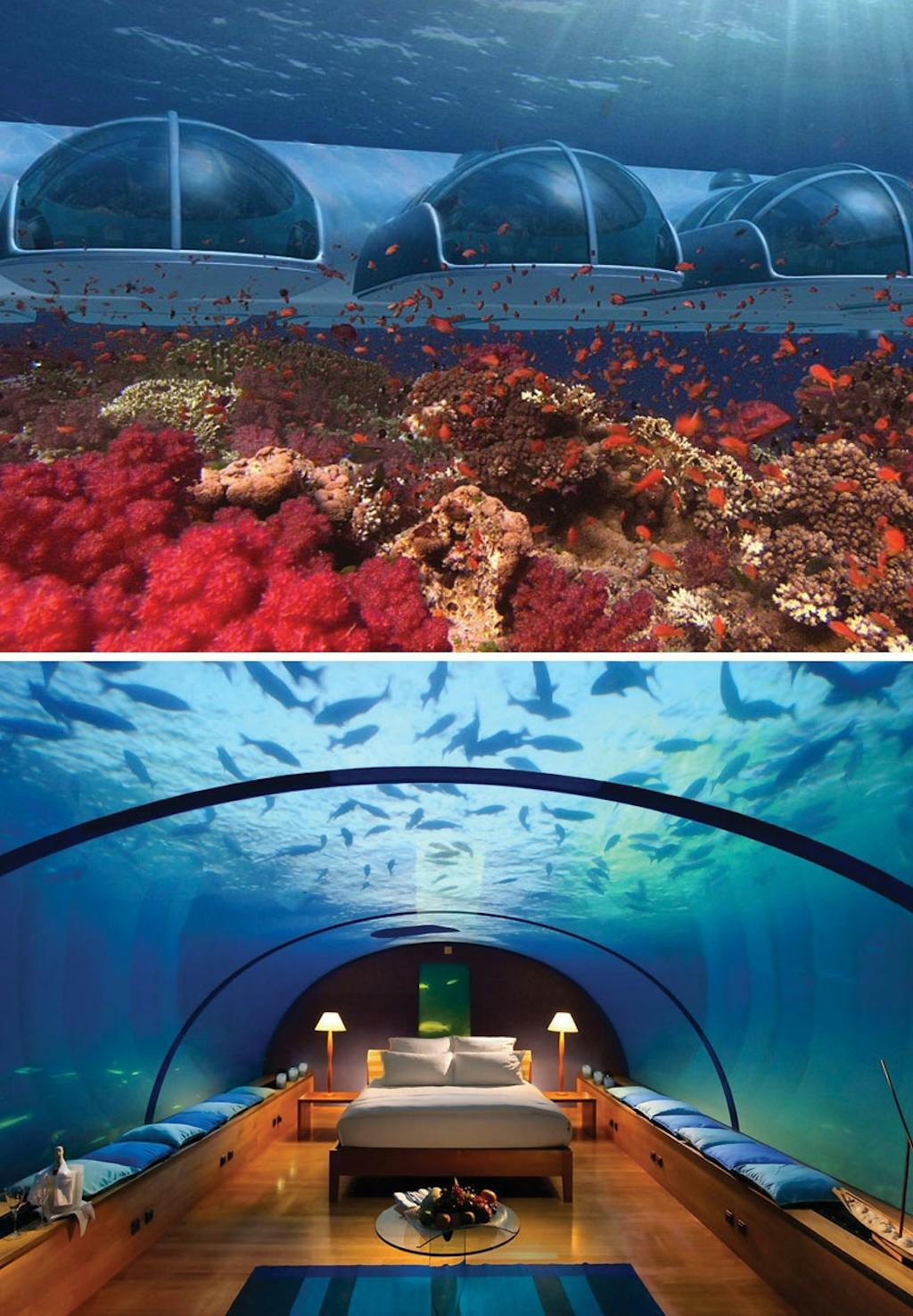 Sov under havets overflade