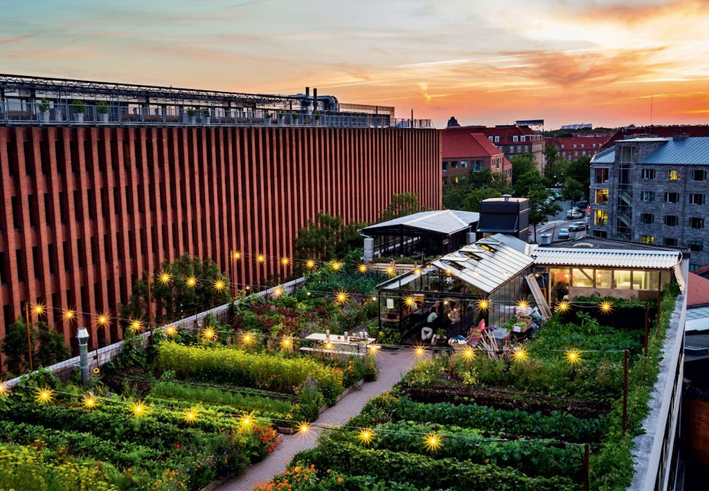 Parret bag tagrestauranten Stedsans 