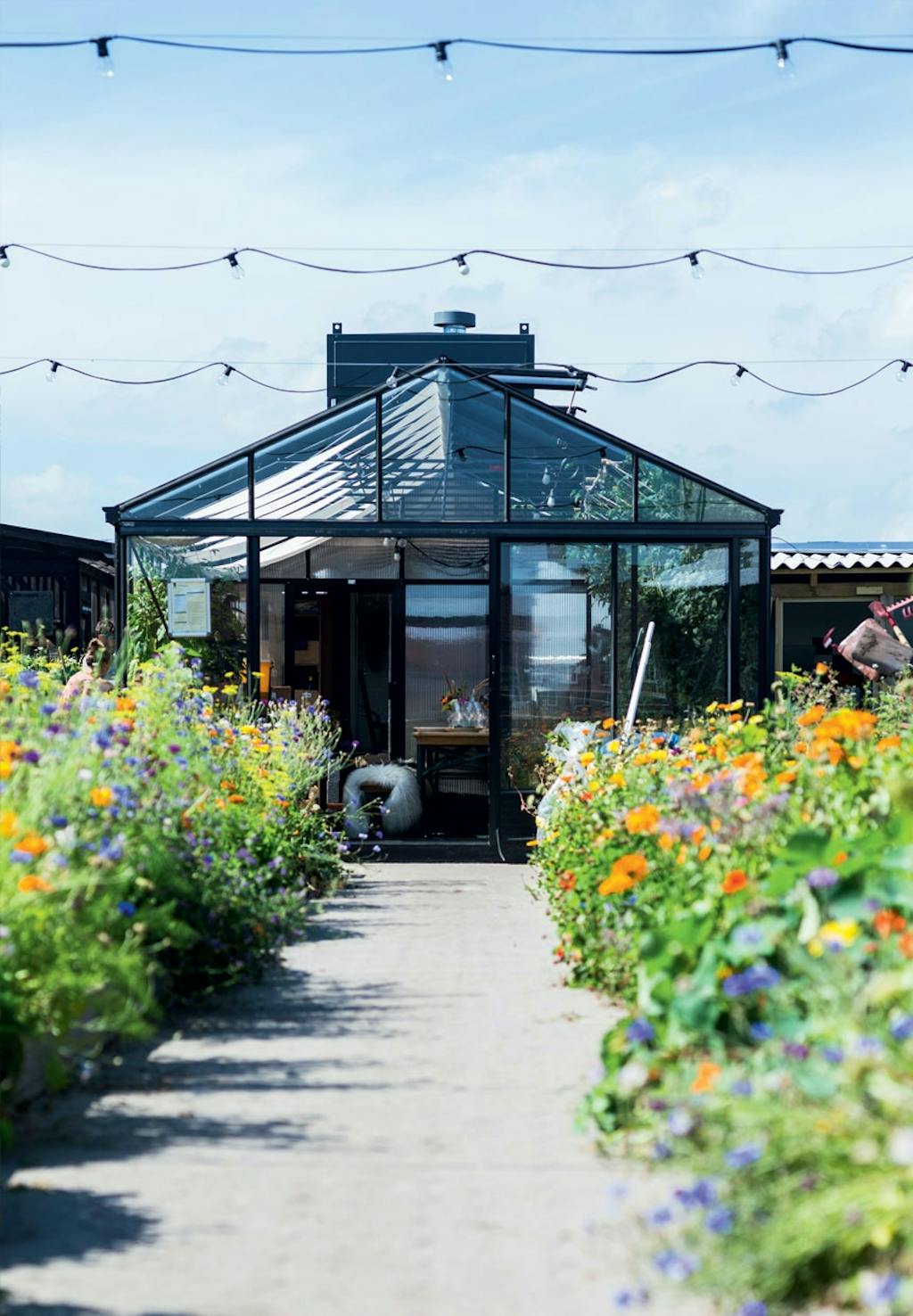 ØsterGro - nordeuropas største tagfarm