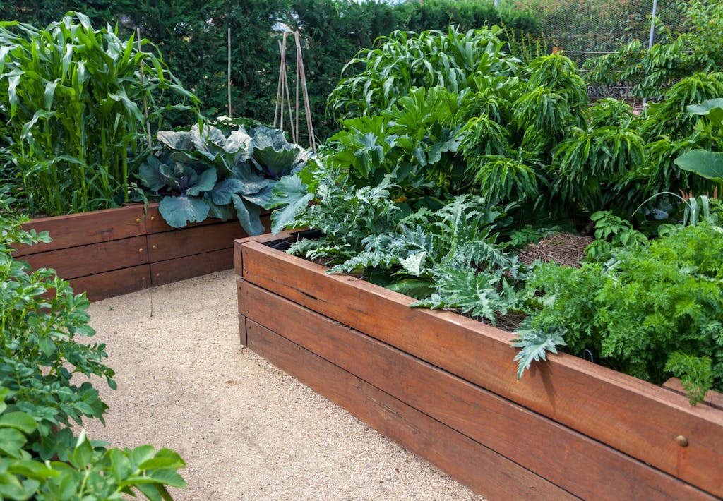 Derfor er højbede en god idé