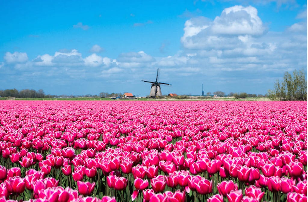 Holland