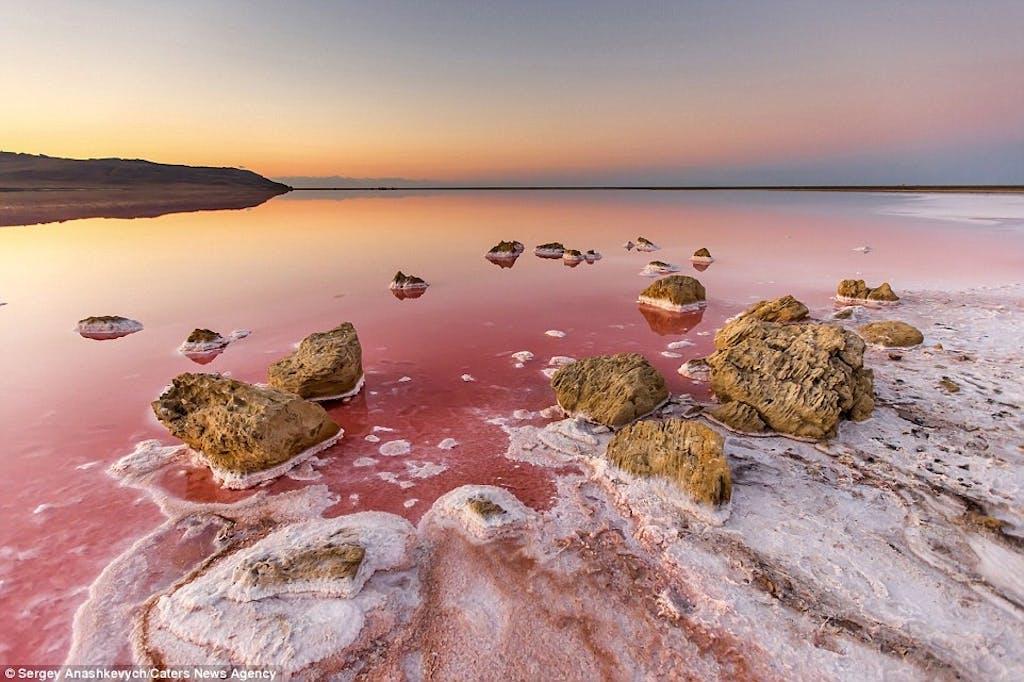 Koyashskoye Salt Lake, Krim