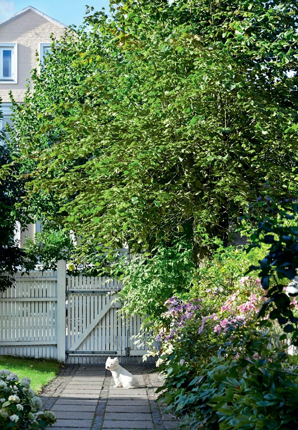 Rolig villavej på Frederiksberg