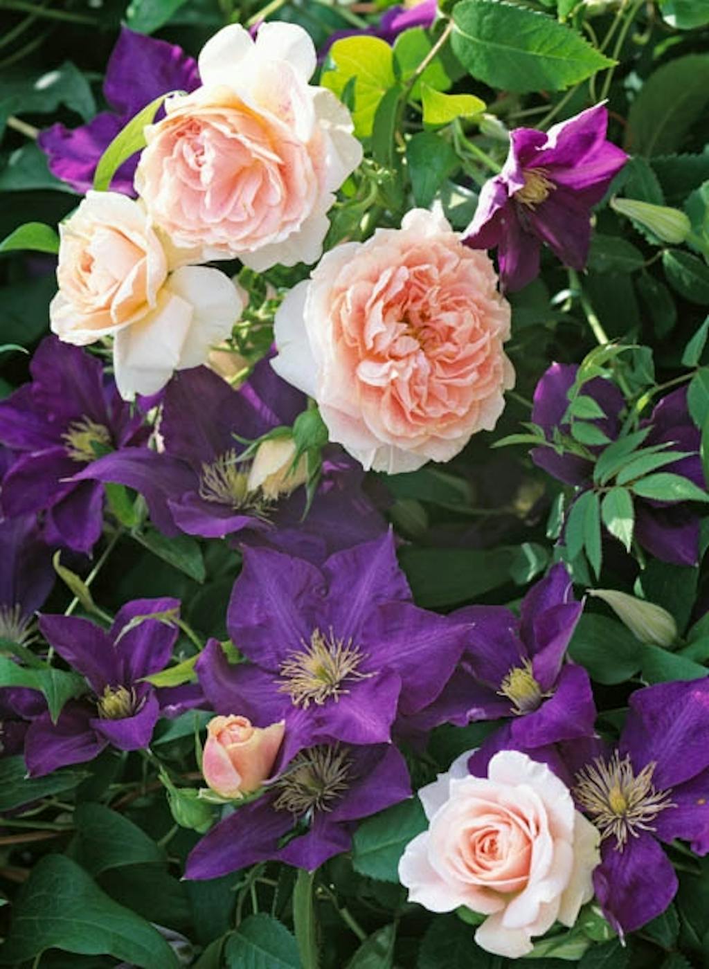 En win win-situation