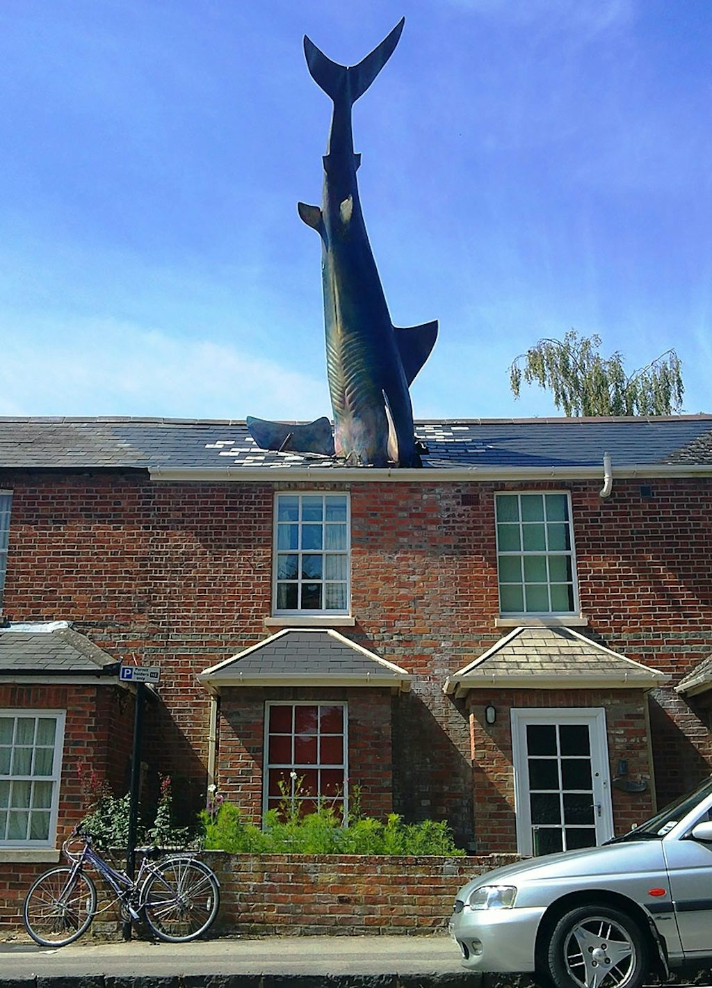 The Shark, Oxford, UK The Shark, Oxford, UK