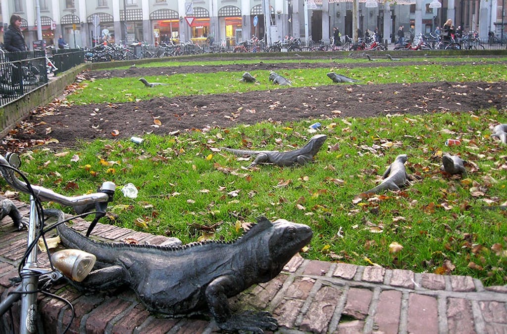 Iguana Park, Amsterdam, Holland