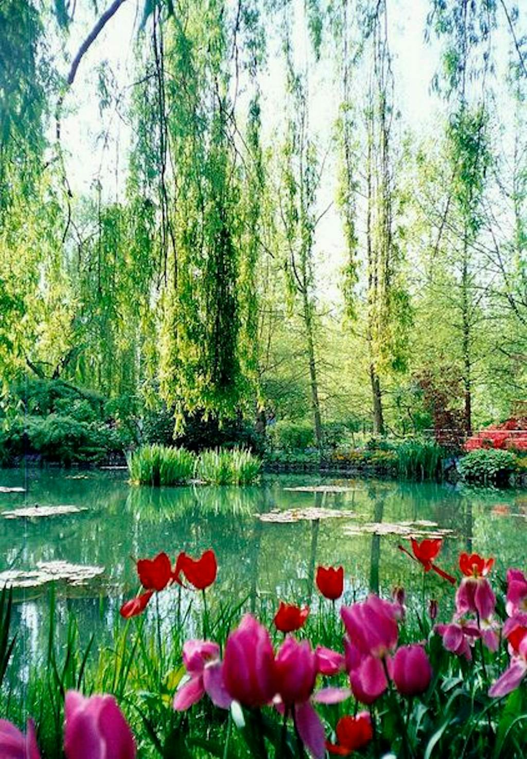 Haven i Giverny åbner i april