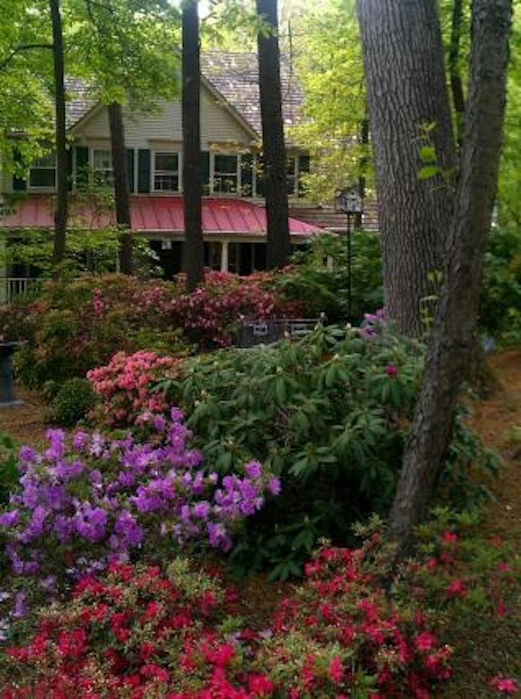 Vokser på den nordlige halvkugle