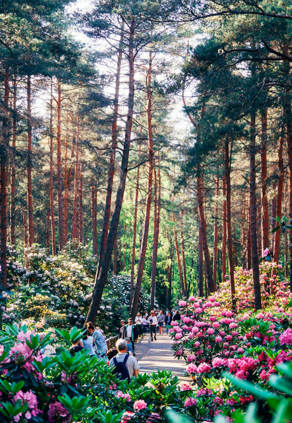 Den fineste parkplante