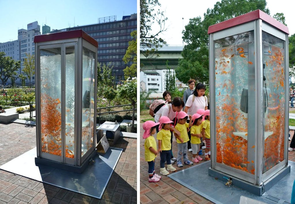 Telefonboks for guldfisk