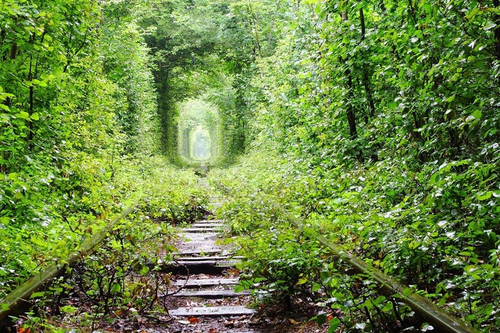 Tunnel Of Love, Ukraine
