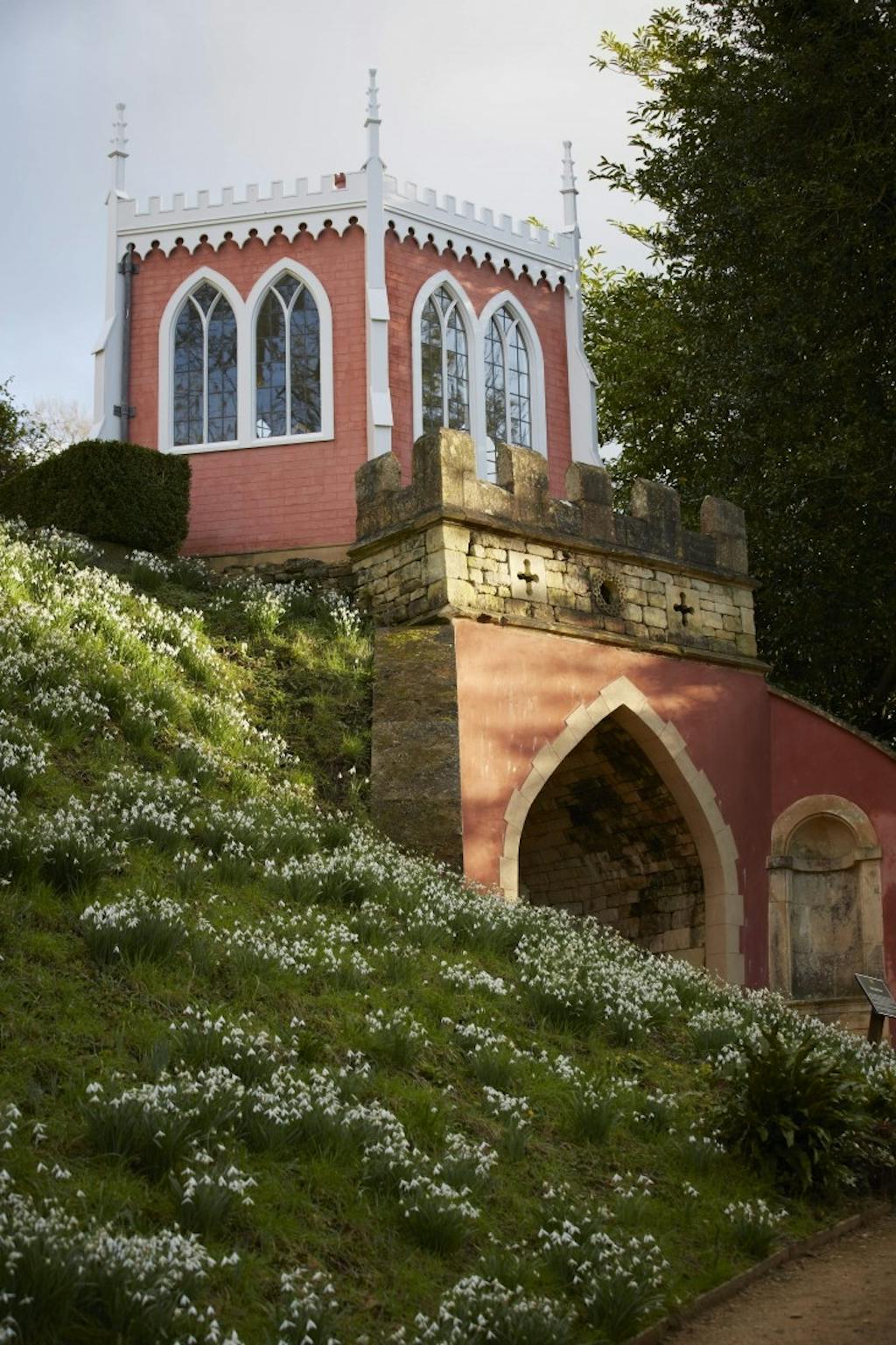 Vintergækker i Painswick Rococo Garden i Cotswolds