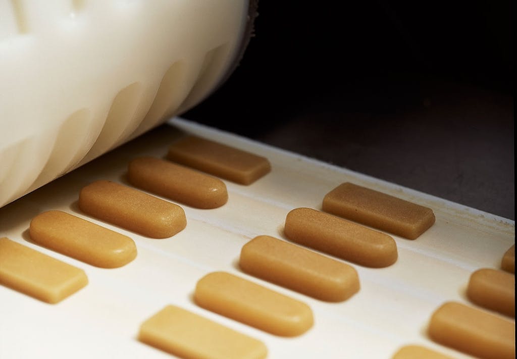 Tanken bag Summerbird