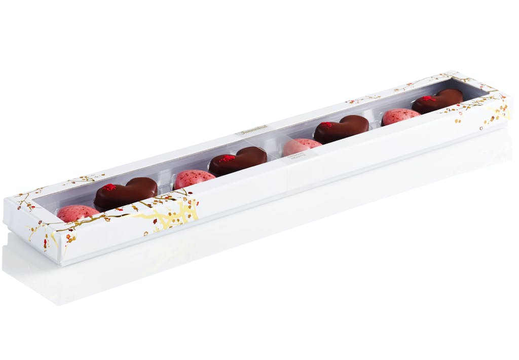 Kan i fortælle os én ting om Summerbird som vi ikke vidste?