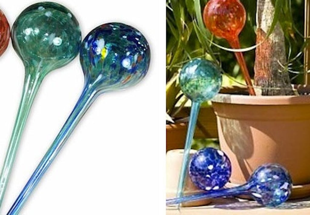 Lad planterne suge det vand de trænger til