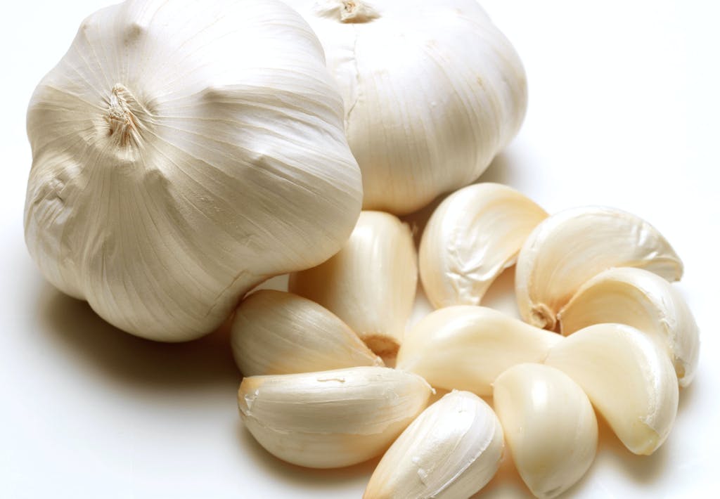 Sådan undgår du stanken