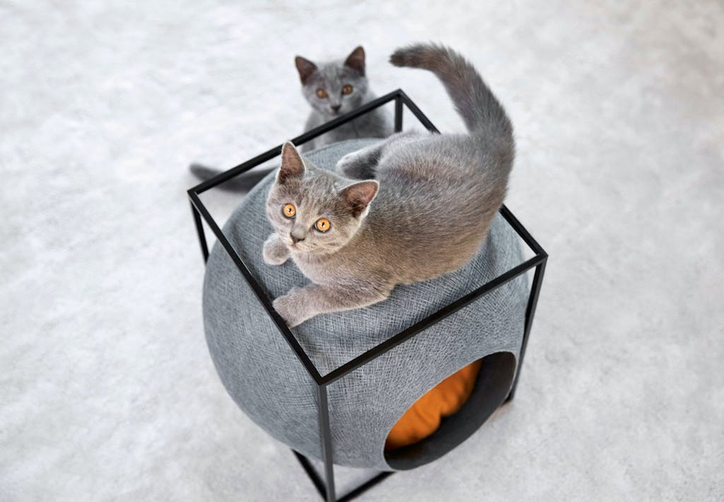 Meyou på Kickstarter