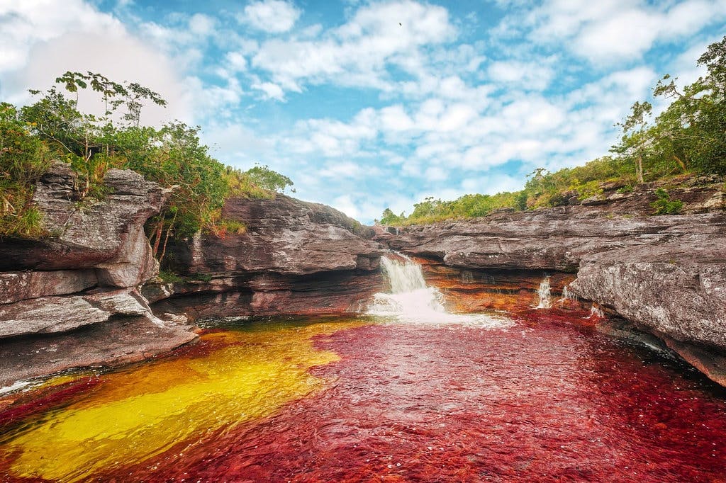 Caño Cristals, Colombia Caño Cristals, Colombia