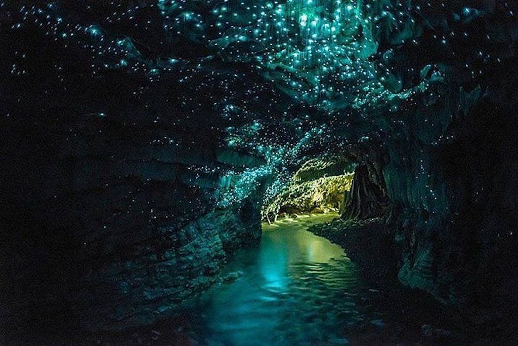Glowworm Caves, New Zealand Glowworm Caves, New Zealand