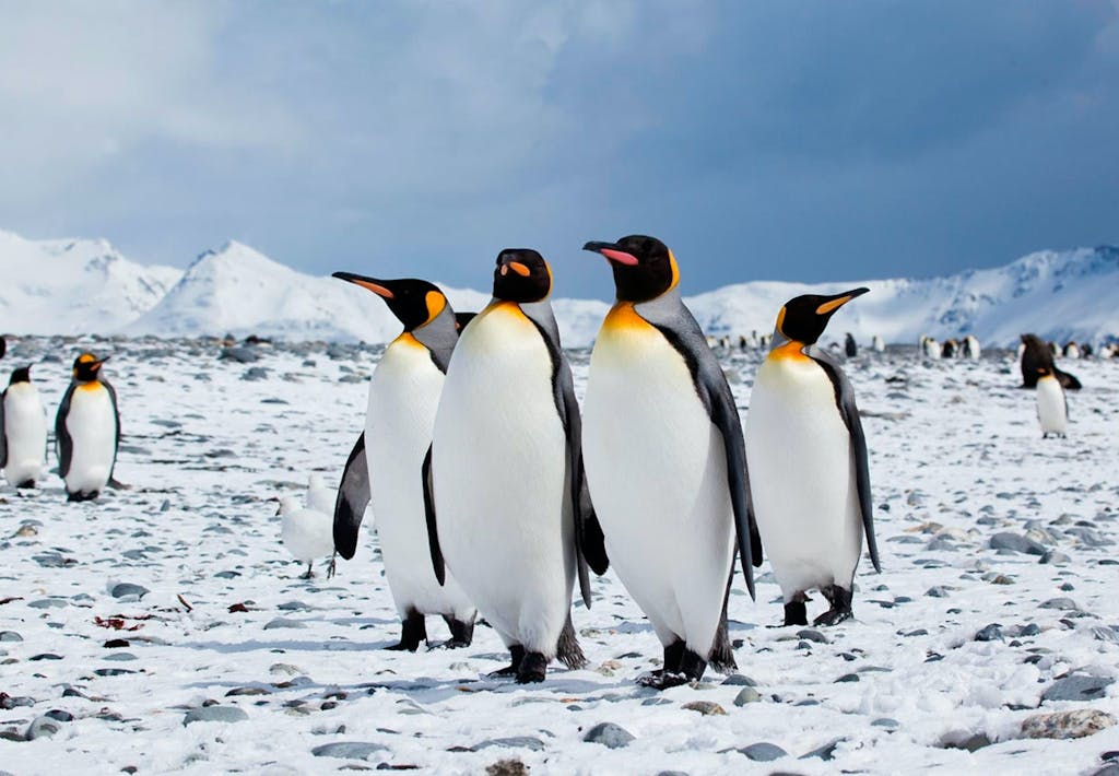 Eventyr til verdens ende