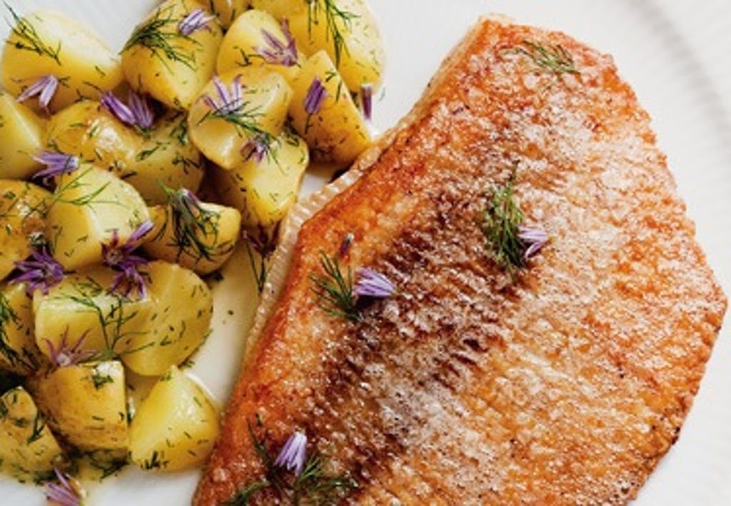 Rokkevinge stege på ven med nye kartofler i sauce nage