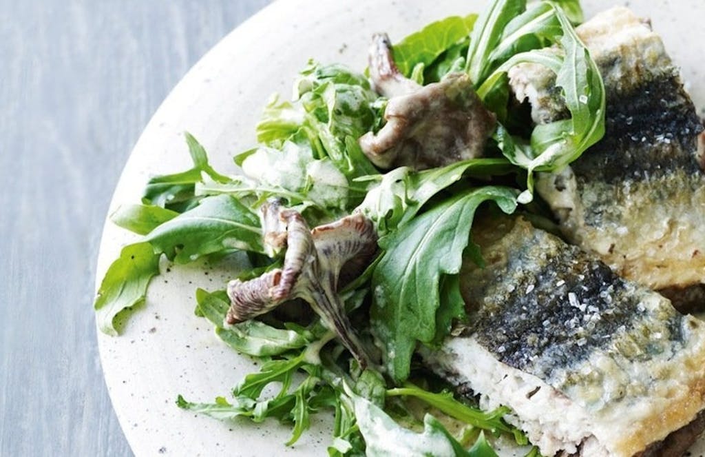 Hornfisk med fløde-kantareller