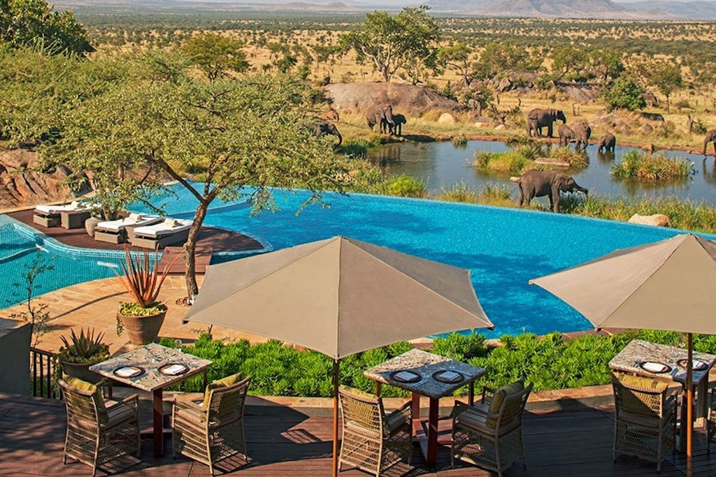 Dyp dig ved siden af elefanterne 