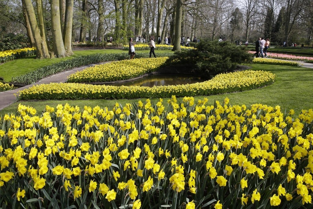 Fuld flor i foråret