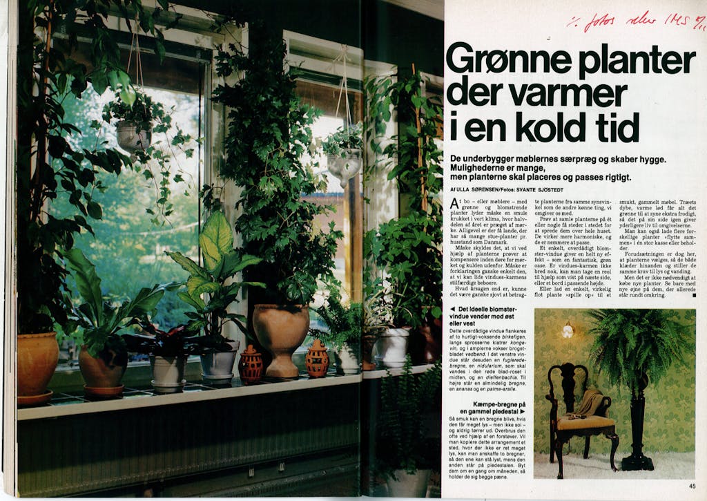 Botanikken går igen