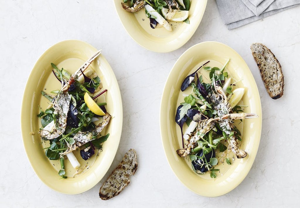 Dampede asparges med jomfruhummer og aïoli