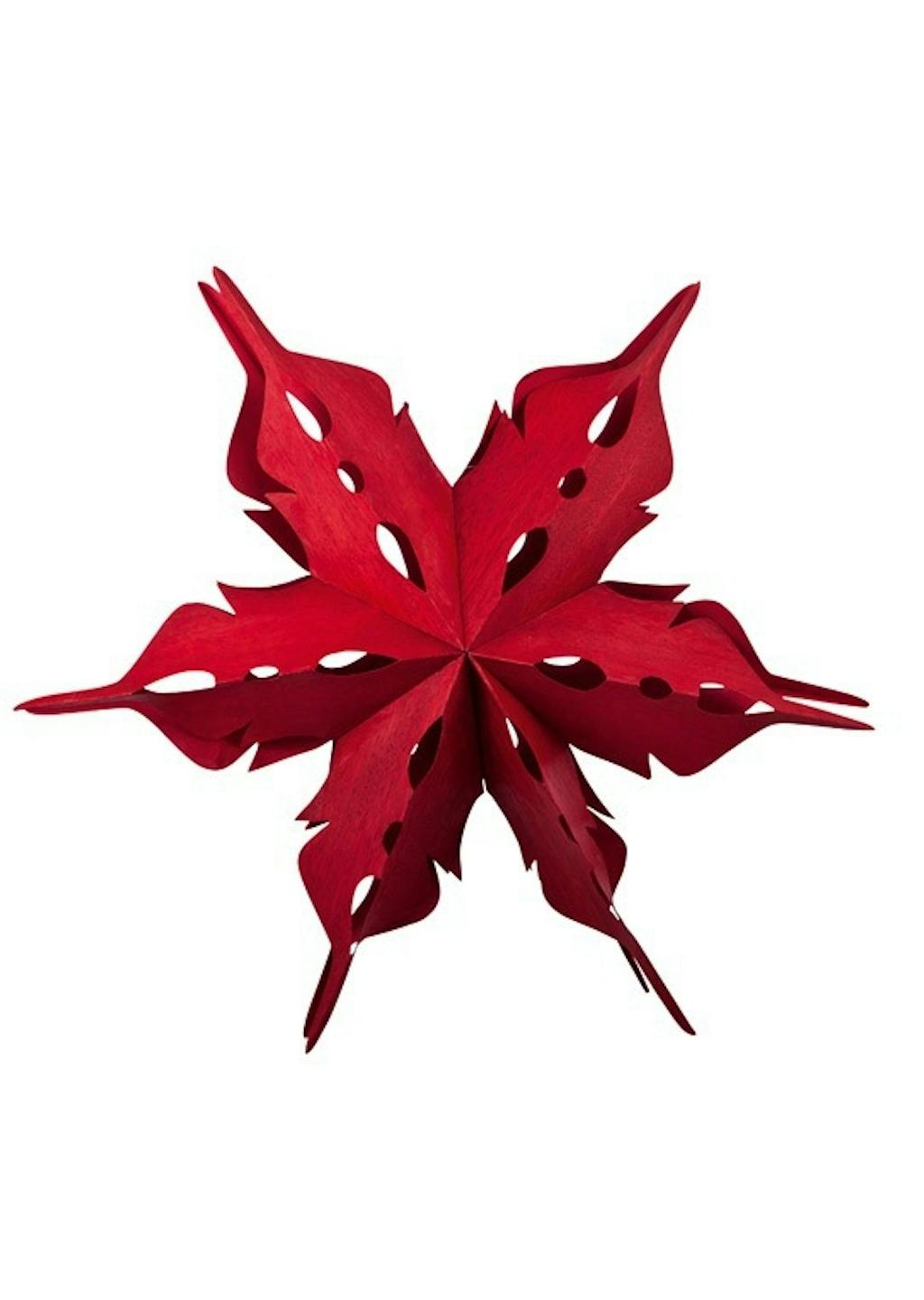 Julestjerne, Stråla