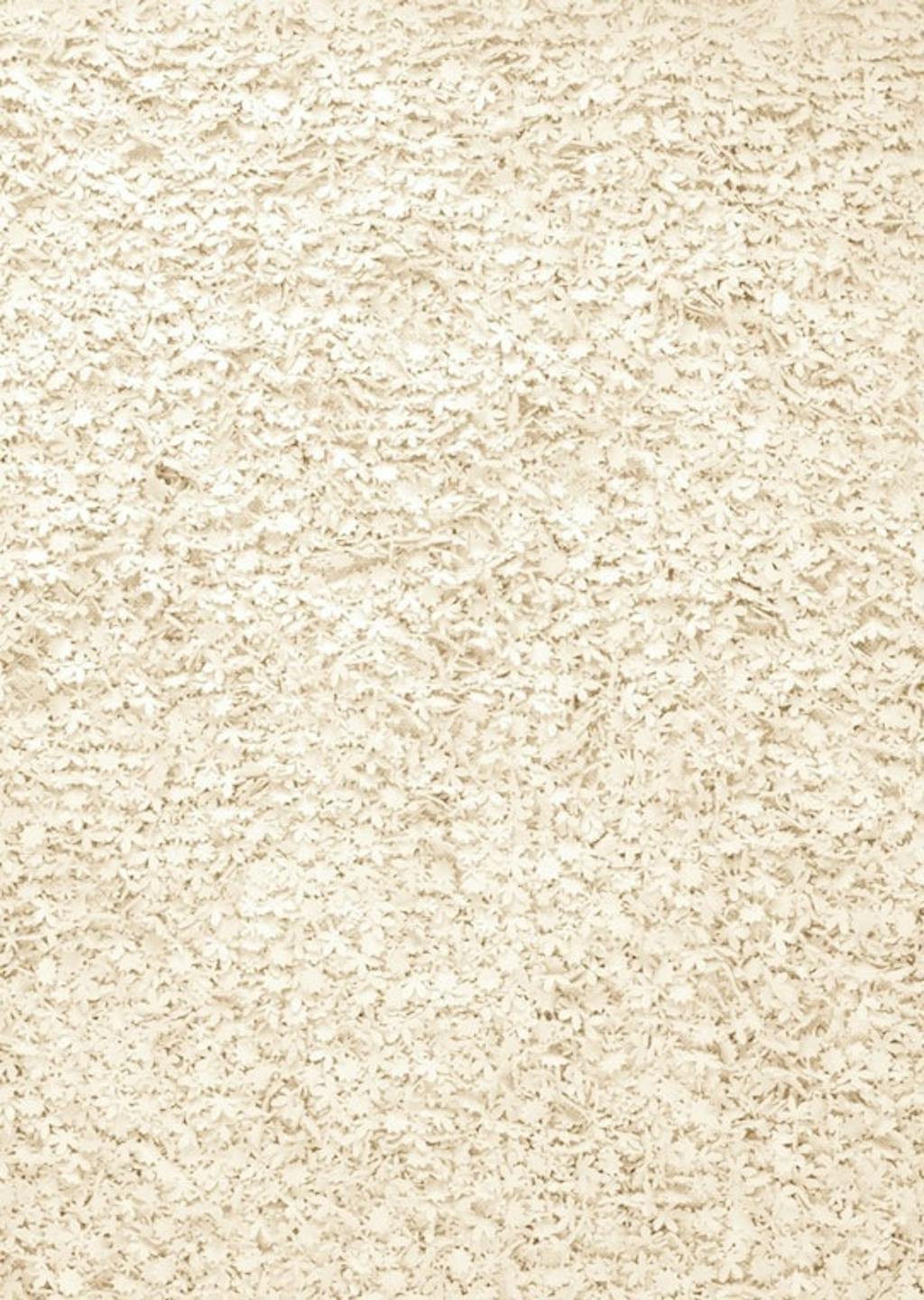 Little Fields of Flowers Little Fields of Flowers